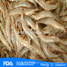 HL002 caza silvestre fresca camarón redondo entero